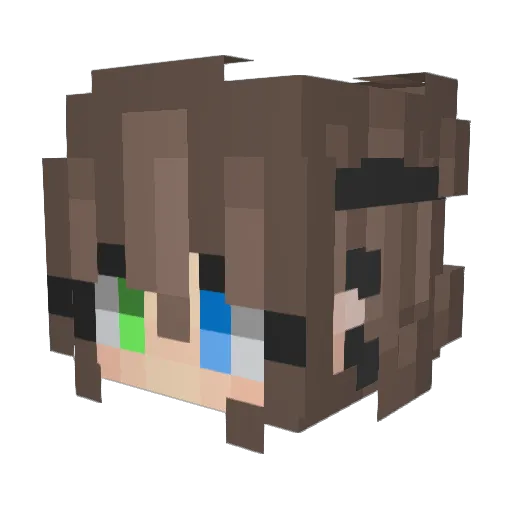 JanineBlock1 Minecraft avatar head, 3D render