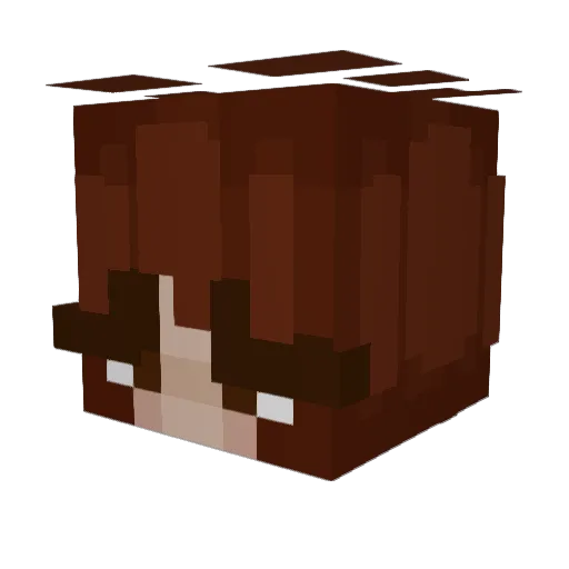 Janiners Minecraft avatar head, 3D render