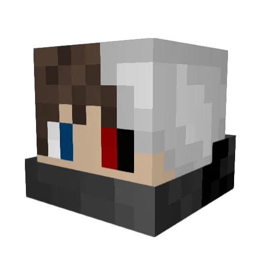 JaninkLP Minecraft avatar head, 3D render