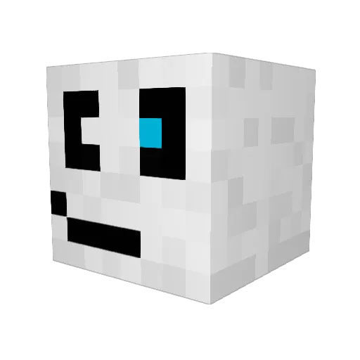 Janis_hlr Minecraft avatar head, 3D render