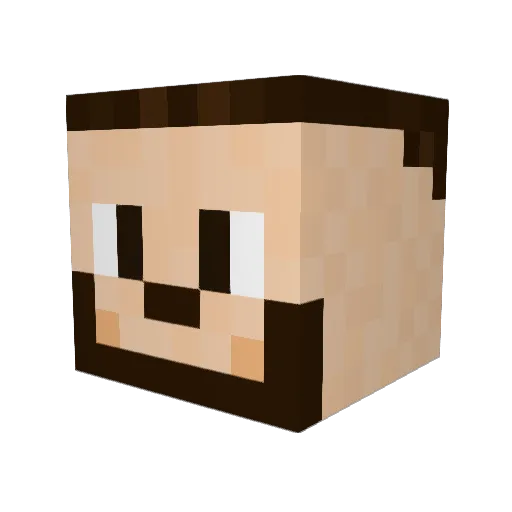 Janit0r Minecraft avatar head, 3D render