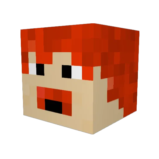 Janitor99 Minecraft avatar head, 3D render