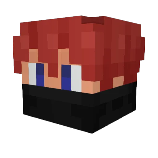 Janix12 Minecraft avatar head, 3D render
