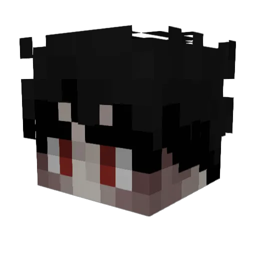 Janiz_ Minecraft avatar head, 3D render