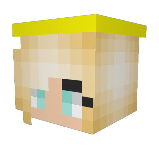 Janju11 Minecraft avatar head, 3D render