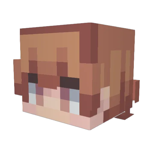 Jankashuub Minecraft avatar head, 3D render