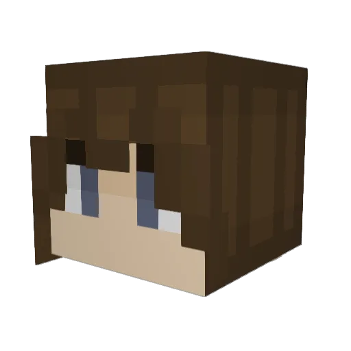 JankyBubbles Minecraft avatar head, 3D render