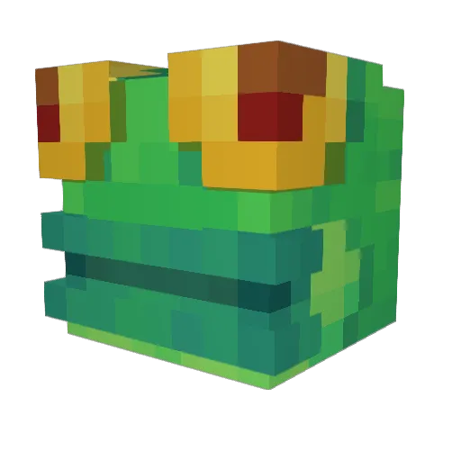 JankyJenk Minecraft avatar head, 3D render