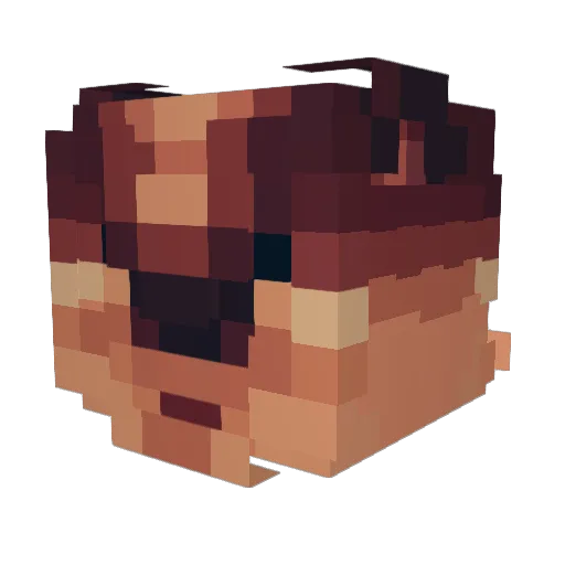 Jankyo0 Minecraft avatar head, 3D render