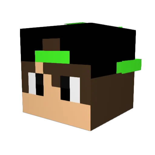 Janluca333 Minecraft avatar head, 3D render