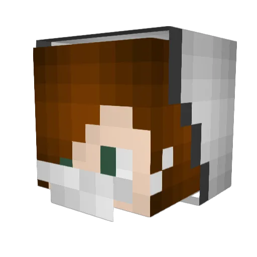 Janluuucas Minecraft avatar head, 3D render