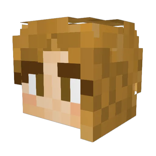 Janna1118 Minecraft avatar head, 3D render