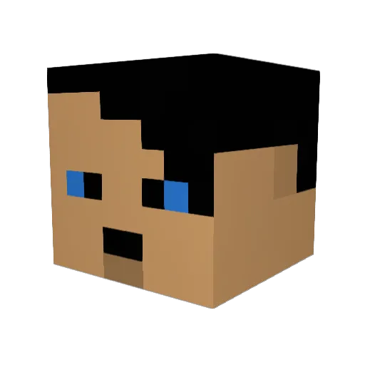 Janne98 Minecraft avatar head, 3D render