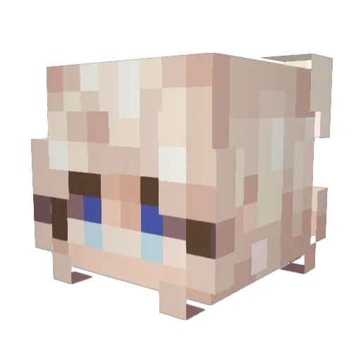 Janne999 Minecraft avatar head, 3D render