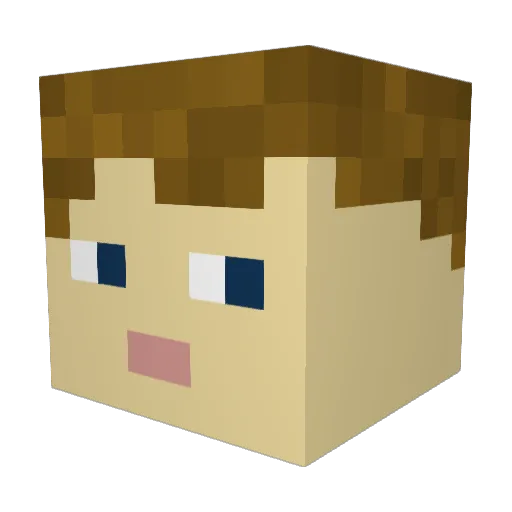 Janne_31 Minecraft avatar head, 3D render