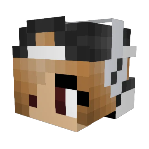 Janne_sg Minecraft avatar head, 3D render