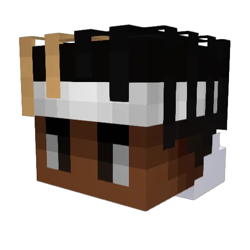 Jannemann1 Minecraft avatar head, 3D render