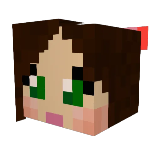Jannemaoki Minecraft avatar head, 3D render
