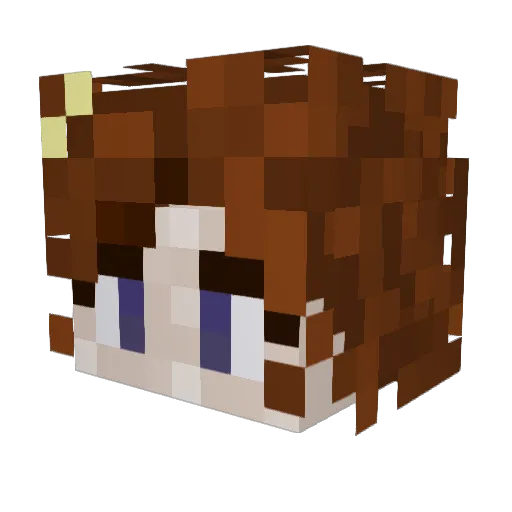 Jannemrt Minecraft avatar head, 3D render