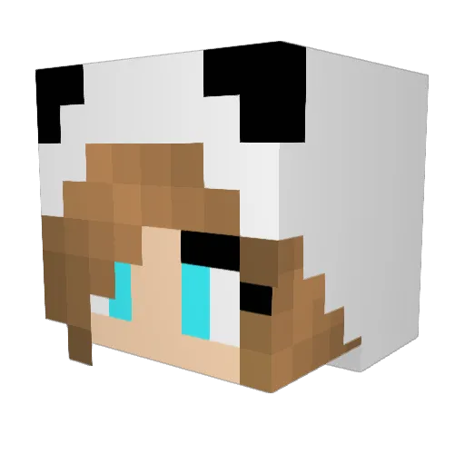 Jannepower_03 Minecraft avatar head, 3D render