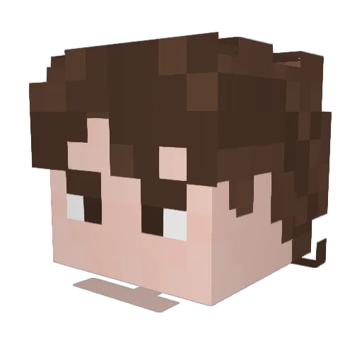 Jannessss Minecraft avatar head, 3D render