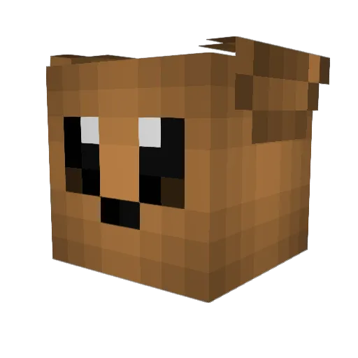 Jannesundstrom Minecraft avatar head, 3D render