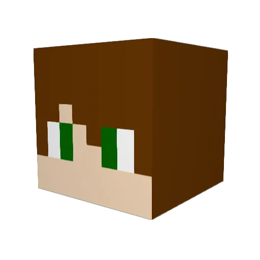 Janni400 Minecraft avatar head, 3D render