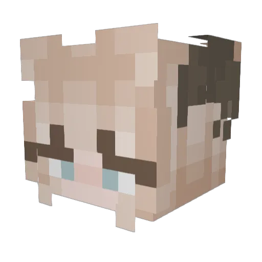 JanniJerry Minecraft avatar head, 3D render