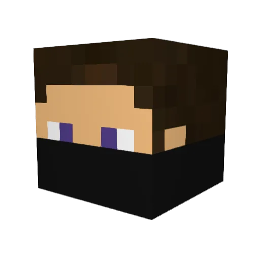 Jannickel Minecraft avatar head, 3D render