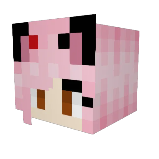 Janniex Minecraft avatar head, 3D render