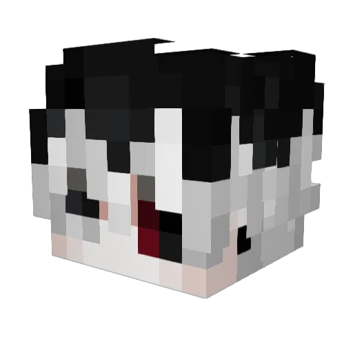 Jannihtn Minecraft avatar head, 3D render