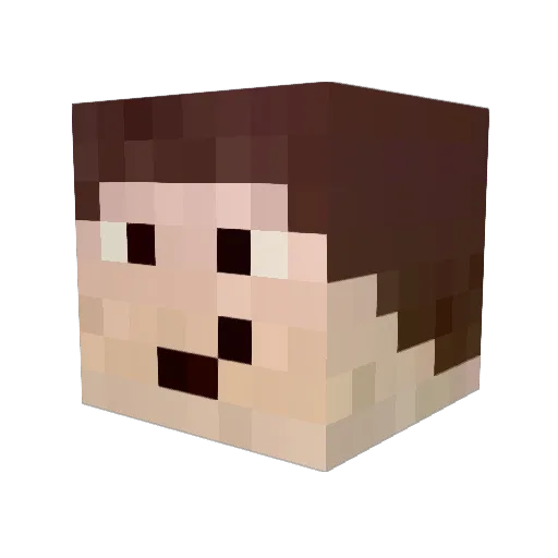 Jannik1309 Minecraft avatar head, 3D render