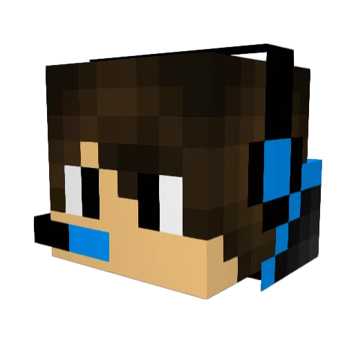 Jannion16 Minecraft avatar head, 3D render