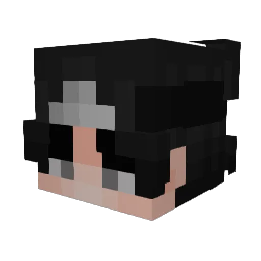 Jannis239 Minecraft avatar head, 3D render