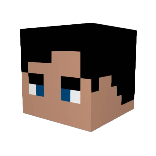 Jannis264 Minecraft avatar head, 3D render