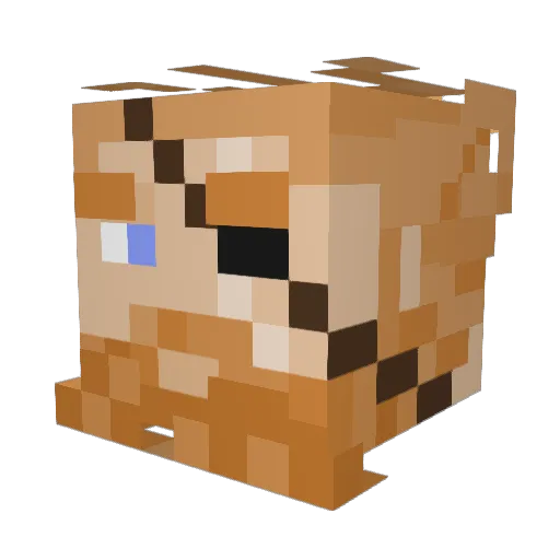 Jannis5759 Minecraft avatar head, 3D render