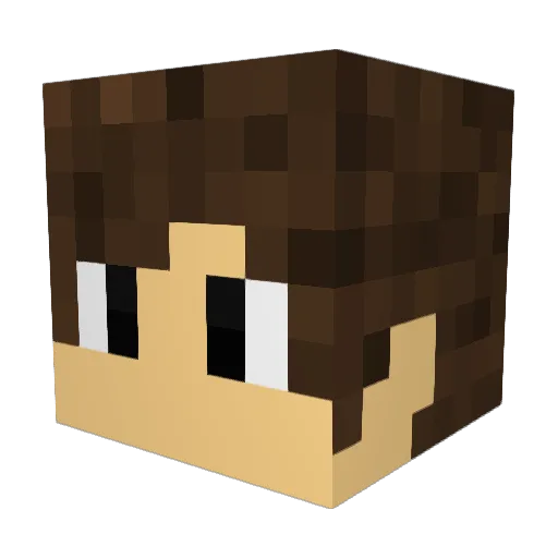 Jannislol Minecraft avatar head, 3D render