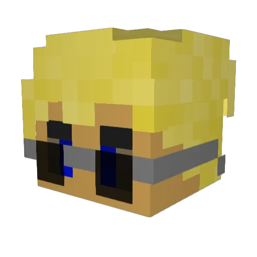 Jannix1427 Minecraft avatar head, 3D render