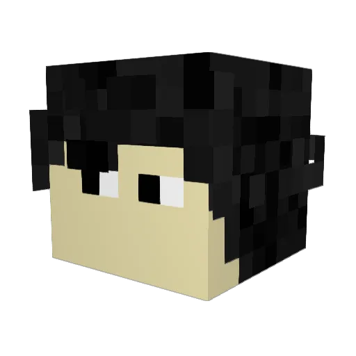 Jannkow Minecraft avatar head, 3D render