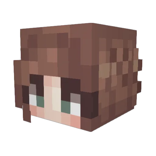 JannyKook Minecraft avatar head, 3D render
