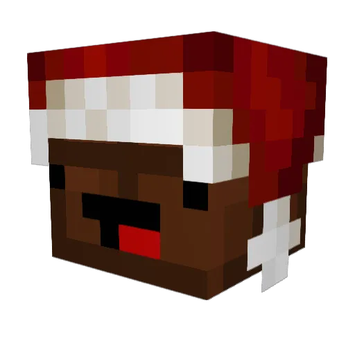 Janock Minecraft avatar head, 3D render