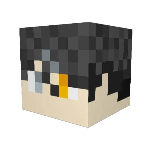 Janome1062 Minecraft avatar head, 3D render