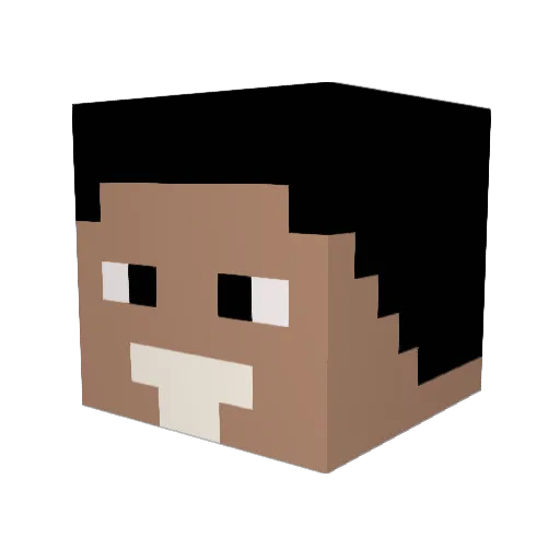 Janor4 Minecraft avatar head, 3D render