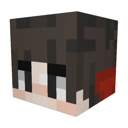 Janra Minecraft avatar head, 3D render