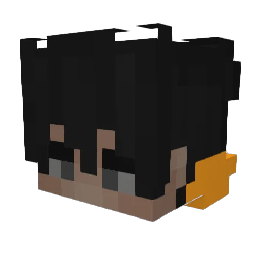 Janrix Minecraft avatar head, 3D render