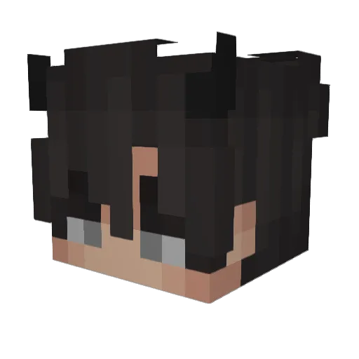 Jansae06 Minecraft avatar head, 3D render