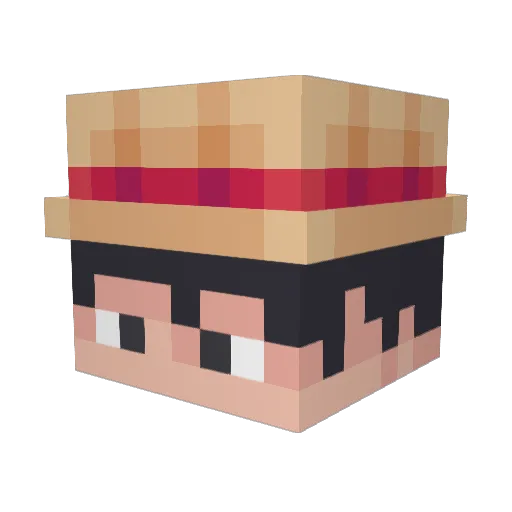 Jansen748 Minecraft avatar head, 3D render