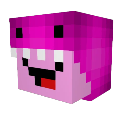 Jansiaa Minecraft avatar head, 3D render