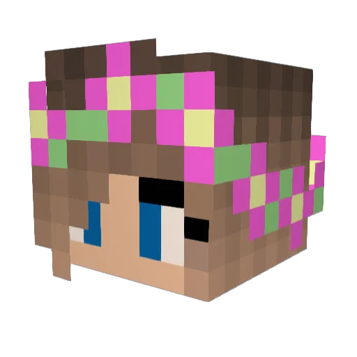 Janskee Minecraft avatar head, 3D render