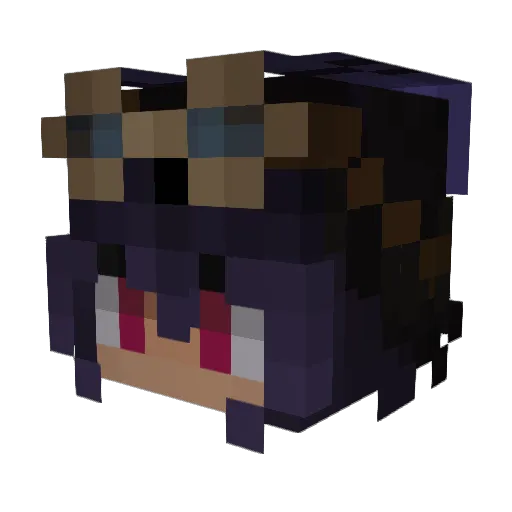 Janski1566 Minecraft avatar head, 3D render